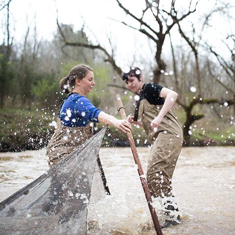 Biology students perform field work